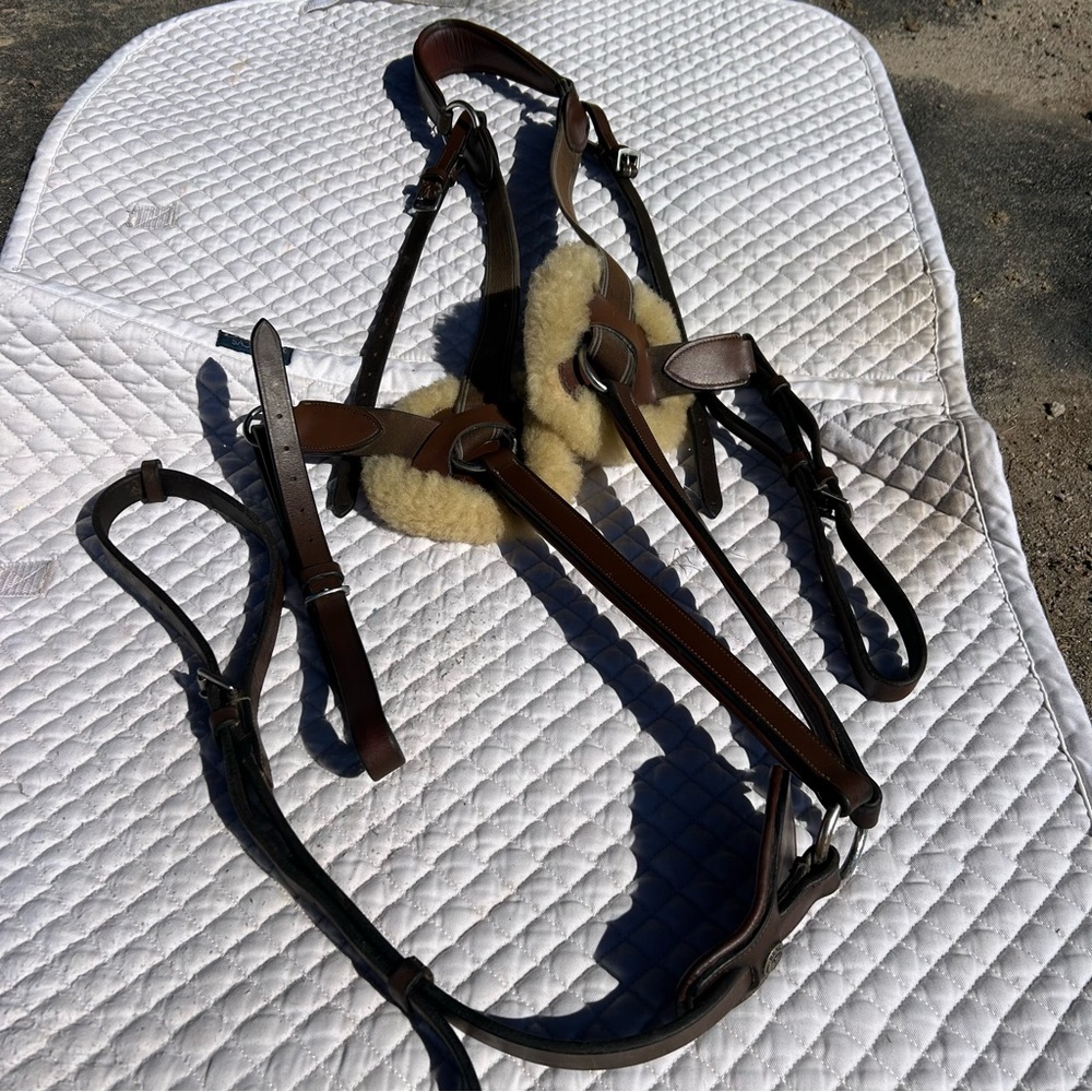 Henri de Rivel Pro 5-Point Elastic Breastplate Martingale w/ Running Attachment